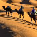 Toubkal Voyages : Sahara desert tours from Marrakech - camp in Zagora & Merzouga