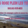 CAMPAGNE CONTRE LE CANCER DU SEIN