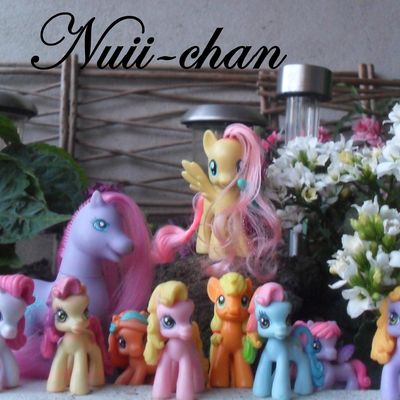 Des poneys encore et toujours des poneys