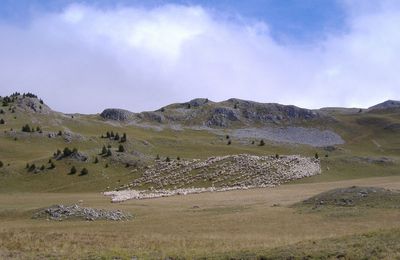 les cailloux avancent aussi