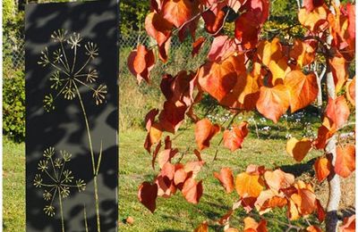 Au temps des feuilles mortes….🍂