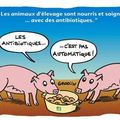 Des antibiotiques d'animaux découverts dans vos légumes 