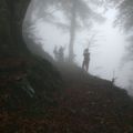 VTT dans la brume