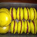 Macarons framboise/chocolat blanc