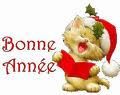 BONNE ANNEE 2011