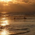 Coucher de soleil dans les Landes...