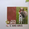 petit âne gris