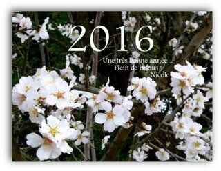 2016 ............... Le temps passe trop vite !