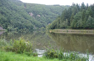 La boucle de la Saar (d'en bas)