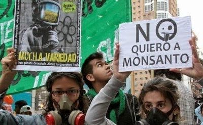 Argentine, la population se soulève contre la « méga-usine » de Monsanto