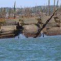 Bassin côté mer 