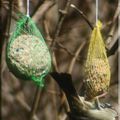 Près de la nature demain je mange la tête en bas, et vive le 18