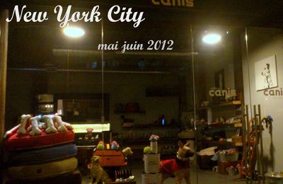 Voyage : Insolite à New York - mai juin 2012