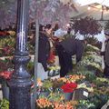 Au marché aux fleurs d'Utrecht...