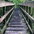 escalier en bois 2.0