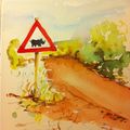 aucun rapport 