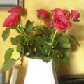 ♥ Un joli bouquet de roses ♥ 