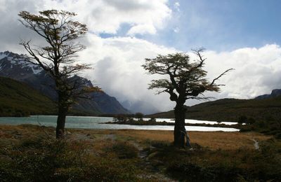 LAGUNA MADRE Y HIJA