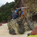 Coromandel et New Chums Beach !!