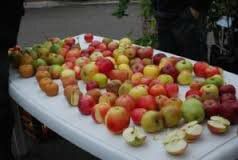 LES 30 ANS DE FRUITS ET NATURE EN REVERMONT (Marché des fruits d'Automne à Cuisiat)