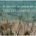 BONNE ANNEE !!!!!