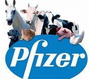 Pfizer