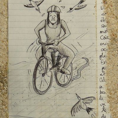 Attaque de pie a Noosa, Australie.