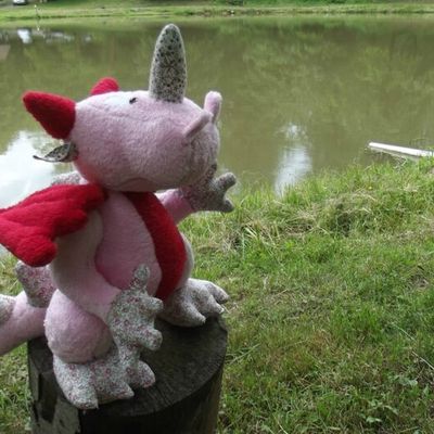 Dragon ?? Dragon ?? Draaaaaagooooon !!!!!