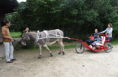 Visite à l'asinerie