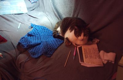 Melle Choupinette... 