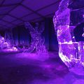 Bal des neiges : Sculptures de glace (2)