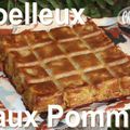 ~~ Moelleux aux Pommes ~~