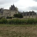 Les "vieux cadres" de Saumur