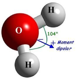 Pourquoi l'aïoli n'est pas une mayonnaise