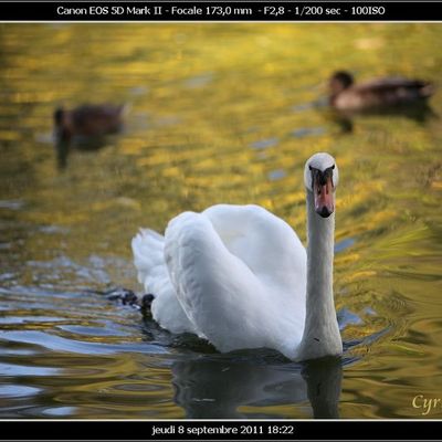 Le parc du Musée Crozatier au Puy en Velay