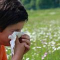  Comment soulager et guérir toutes Allergies saisonnières, rhume des foins.