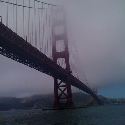 Fog frisquet à Frisco