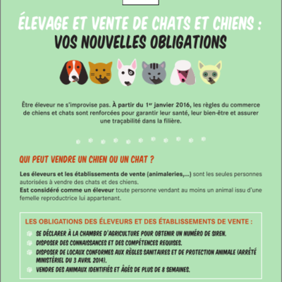 Vente d'animaux de compagnie: ce qui va changer au premier janvier 2016!