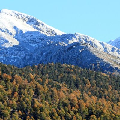 L'automne est lancé