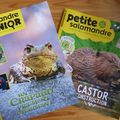 Février-mars avec Salamandre Junior et la Petite Salamandre + CONCOURS / CADEAUX