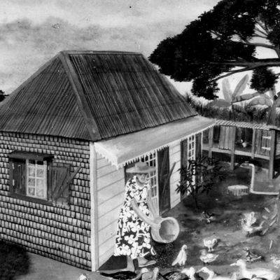 Les dernières cases créoles de la Réunion -The last Creole huts on Reunion Island