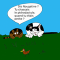 Nougatine