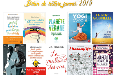 Bilan de lecture janvier 2019 + Nouveautés Feel Good