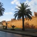 Tanger, Marrakech et Agadir