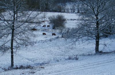 Il neige encore à La Brutine