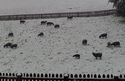 A la Ferme à Nouky l'hiver est arrivé !!!!