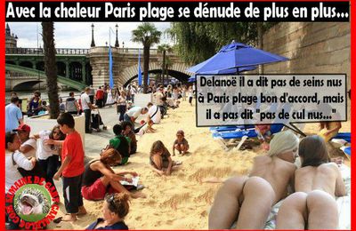 EN RAISON DE LA MONTEE DES TEMPERATURES, DIFFICILE D'INTERDIRE AUX USAGERS DE PARIS PLAGE DE SE DECOUVRIR !