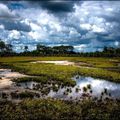 LES SOUFFLES / B. DIOP !...