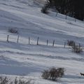 Le Grand Serre en Matheysine, la cabane de la Grande Cuche