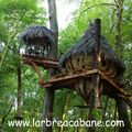 une nuit en amoureux dans une cabane perchée !